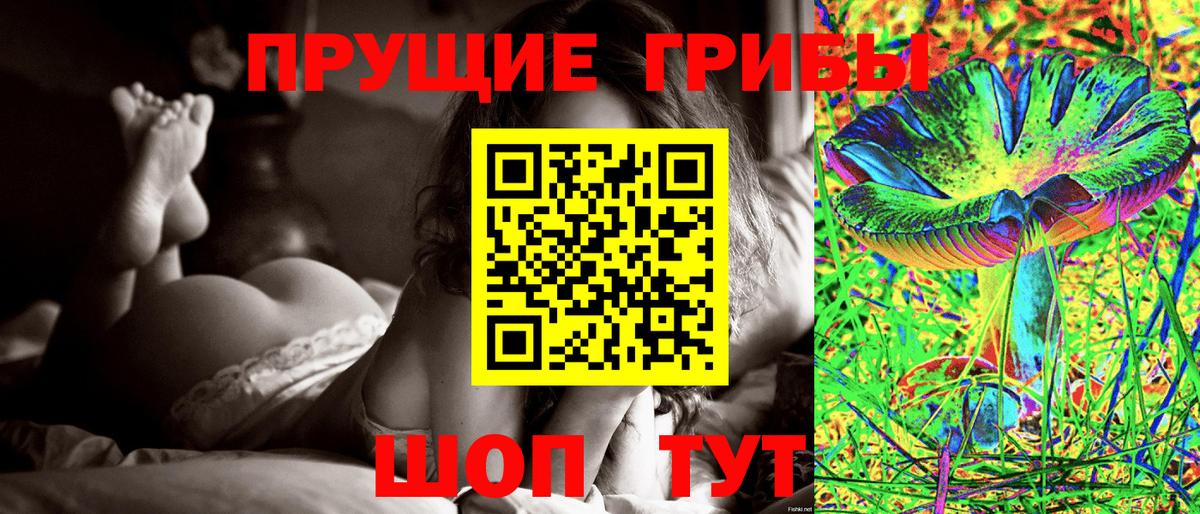 Псилоцибиновые грибы Cubensis  Вход с VPN  Южноуральск 